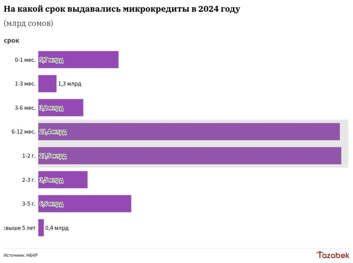 Около 70% микрокредитов в 2024 году выдано на срок от полугода до 2 лет