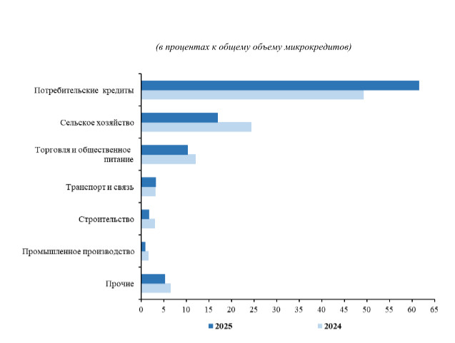 Более 61% выданных микрокредитов заимствовано на потребительские нужды, - Нацстатком