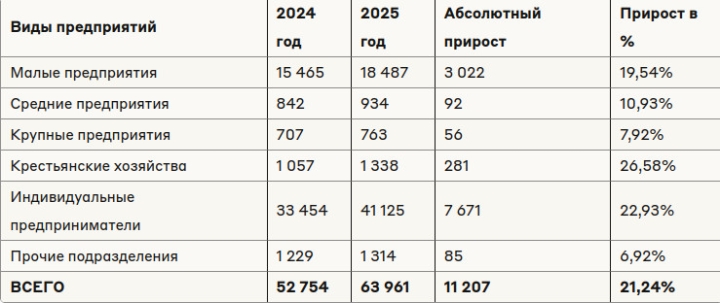 В Бишкеке за год количество хозсубъектов выросло на 21%, основной рост – ИП и фермерские хозяйства