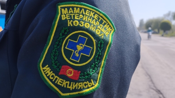 «Империя пиццы», столовые в КТУ «Манас» и «Аламедин Гранд». Ветслужба в апреле проверила 417 субъектов. Кто еще попал в этот список?