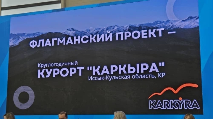 Кыргызская делегация представила инвестпроекты на форуме «Россия — Исламский мир» в Казани, - МИД