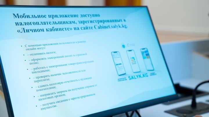 Налоговая грамотность: Что делать, если в личном кабинете налогоплательщика отображаются неверные данные по жилью и машине?
