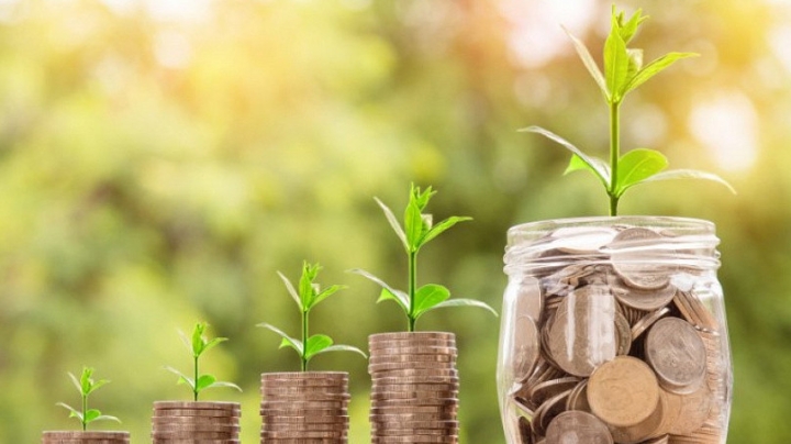 Доходы инвестфондов увеличились в 2024 году на 2,8% и составили 7,4 млн сомов