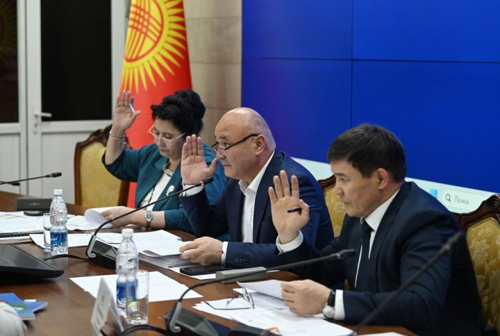 Комитет ЖК одобрил законопроекты о создании специальной финансовой инвестиционной территории «Тамчы» в трех чтениях