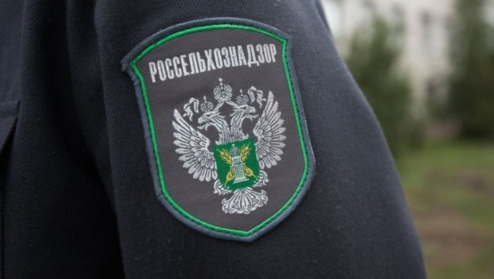 Россельхознадзор предотвратил ввоз продукции из Кыргызстана и Казахстана