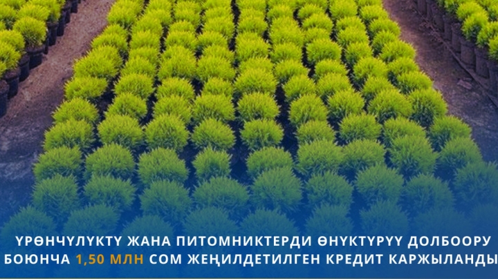 ba7361bba71fe2bbd41dad98c3d2e5ad