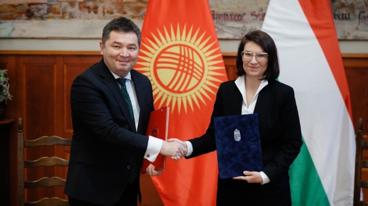 1ffb1472e3852063e752b85713993568