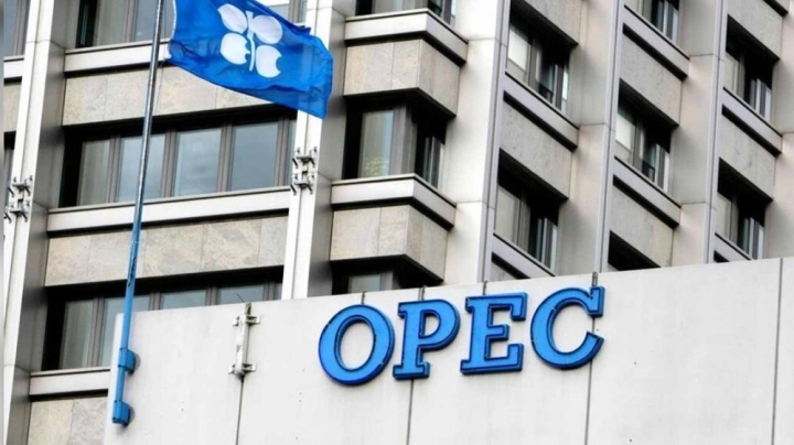 749e9070455214177670e176a80cfe2b