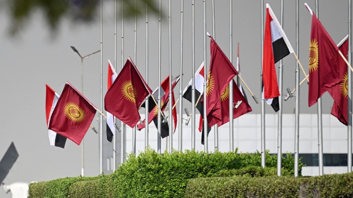 dbc067815f28a29bf80e82a6013102a6