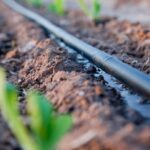 Кыргызстан инвестирует в будущее агросектора: новые ирригационные горизонты