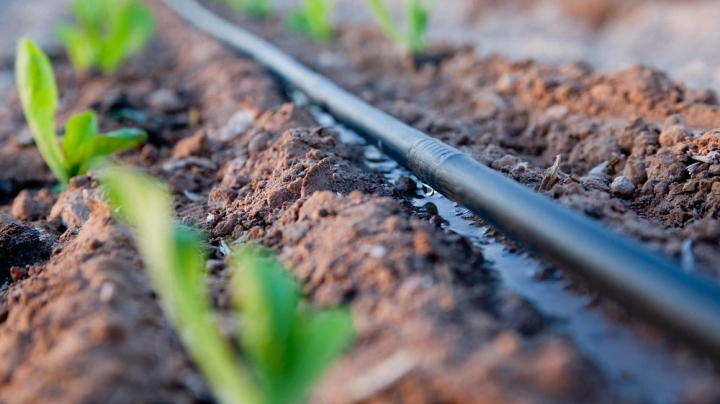 658932e78566132a398b4e419811f970