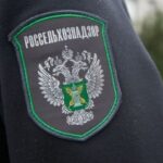 Евразийский транзит: Россельхознадзор контролирует ключевые агропоставки в Кыргызстан
