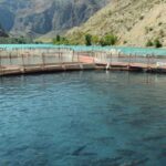 Кыргызстан на пути к стабильности: парламент утвердил стратегический протокол ВТО