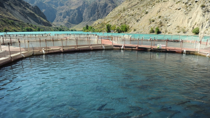 45b663c96a362d8aea7ab6b2fdfd8851