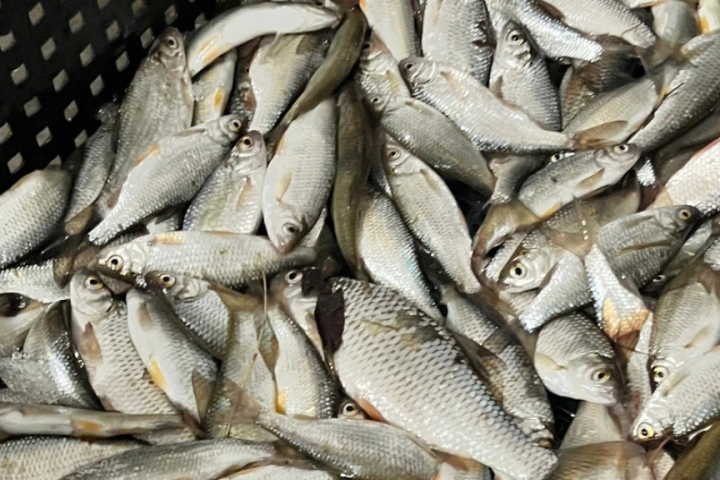 5e54a3e437abaeda9db72e4365ce705c