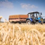 Агросектор Кыргызстана: новые векторы кредитования и инвестиционный потенциал