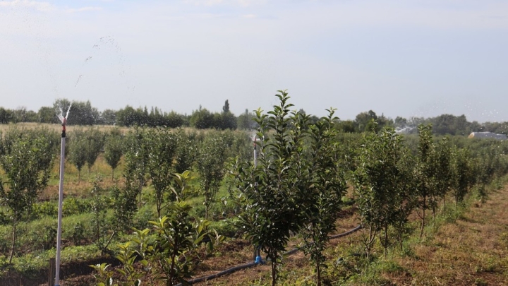 c4947a6e44df0af04719e00c1f81ce24