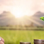 Кыргызстан расширяет агрокредитование: объем программы ФСХ–14 вырос в два раза