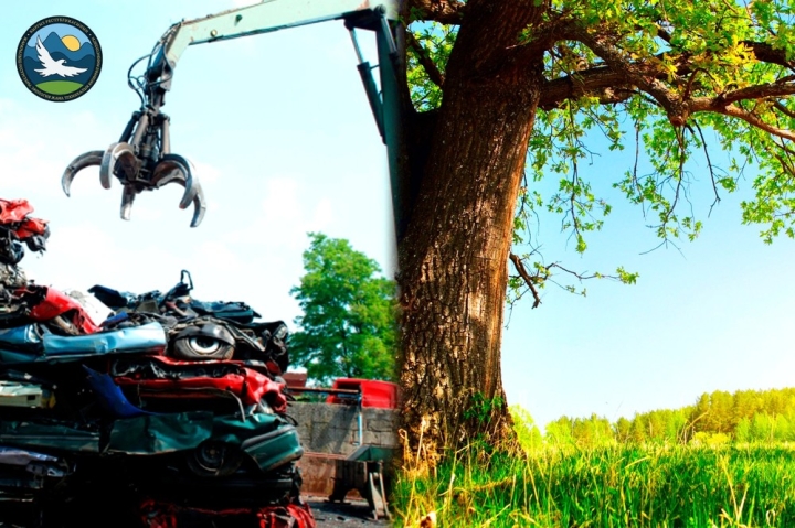 8189b5498d8cbb9a0710286a8156efb6