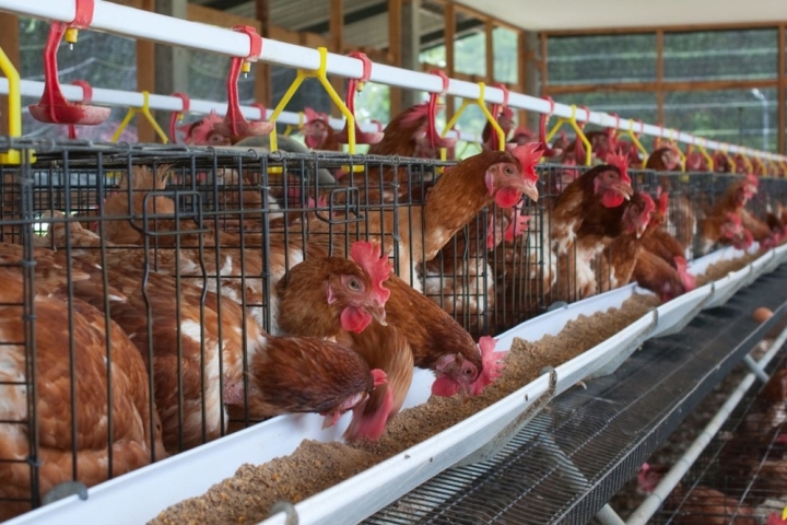 95ed60e68323de1bc161167e9384af26