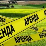 Земля в аренду: как Кыргызстан планирует защищать и привлекать инвесторов