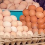 Кыргызстан лидирует в ЕАЭС: взрывной рост производства яиц и успех в АПК