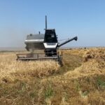аграрный прорыв Кыргызстана: республика вошла в тройку лидеров ЕАЭС по темпам роста